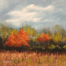 Spring Meadow