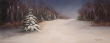 Snow Path