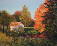 Shedding Light-SOLD