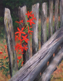 On the Fence-SOLD
