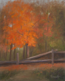 Blaze-SOLD