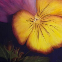 Pansy Power