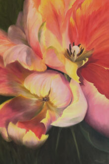 Petals Unfurling